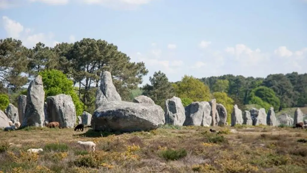 Carnac Visio Tour