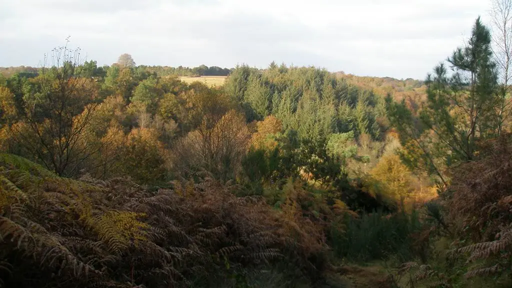 Vallée de l'Aër - Ploërdut - Morbihan Bretagne Sud