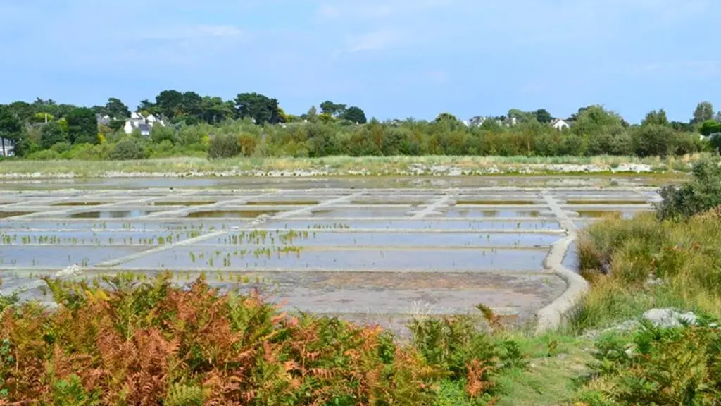 Site de Kervillen - La Trinité sur Mer - Morbihan Bretagne Sud