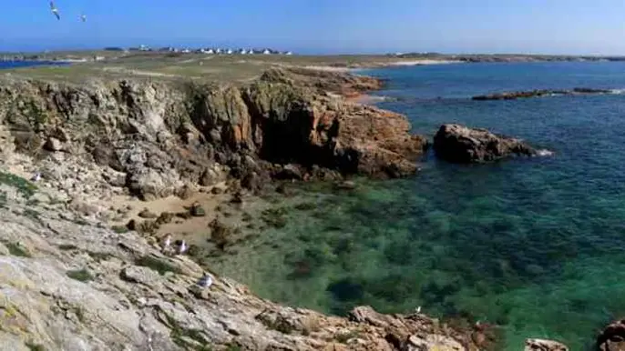 Quiberon Jet