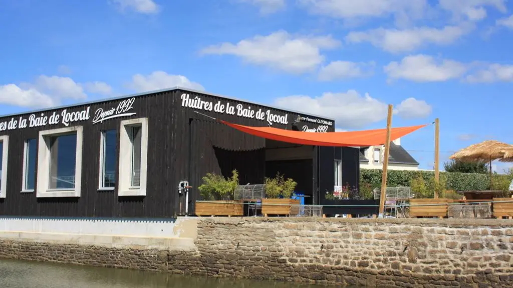 huîtres-baie-de-locoal-morbihan-bretagne-sud