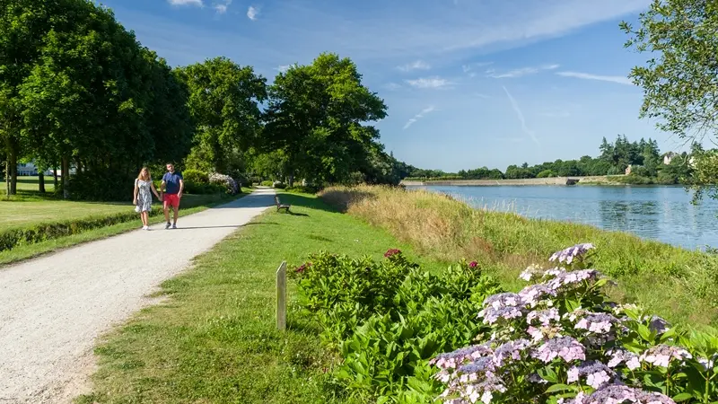 Circuit des hortensias - lac au Duc - Ploërmel - Morbihan - Bretagne