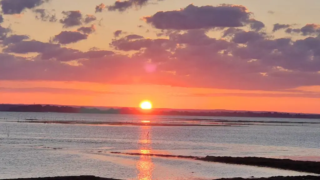 Les-Viviers-du-Ruault-Sarzeau-Presqu'île-de-Rhuys-Golfe-du-Morbihan-Bretagne sud