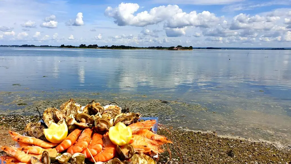 Les-Viviers-du-Ruault-Sarzeau-Presqu'île-de-Rhuys-Golfe-du-Morbihan-Bretagne sud