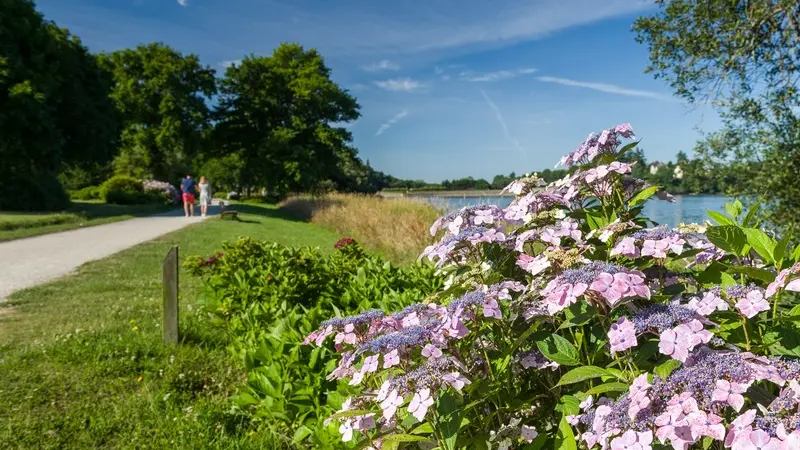 Circuit des Hortensias