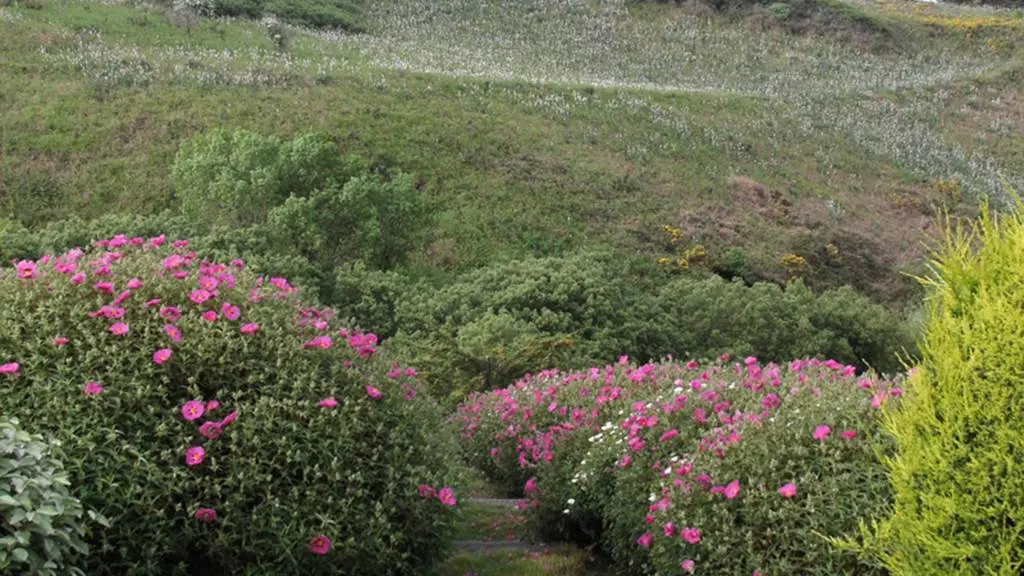 Jardin de la Boulaye