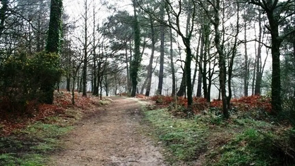 La petite forêt - Auray - Morbihan Bretagne Sud