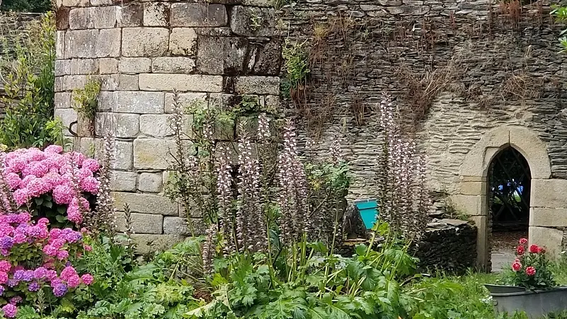 Chambre-hôtes-La-Gaudinais-Ploërmel-Destination-Brocéliande-Bretagne