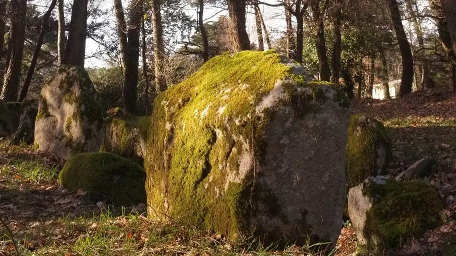 Dolmen du Luffang Crach - Morbihan Bretagne sud (1)