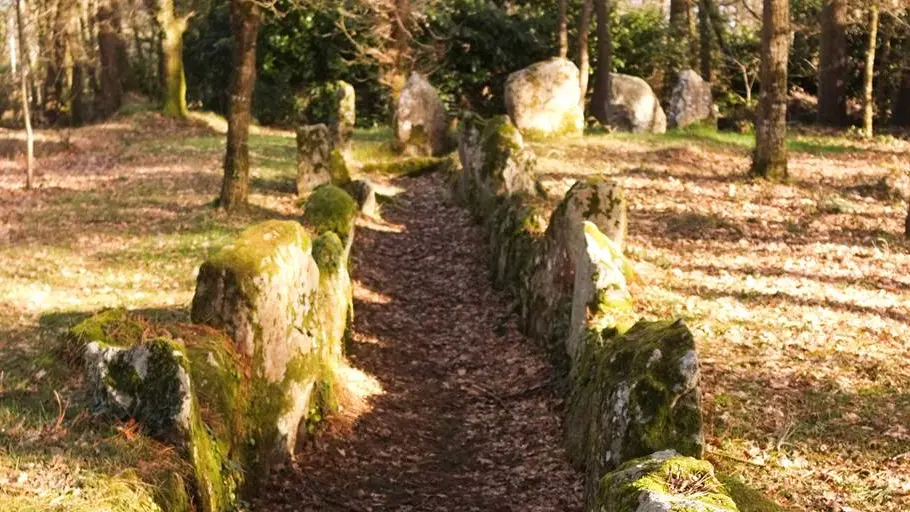 Dolmen du Luffang Crach - Morbihan Bretagne sud (2)