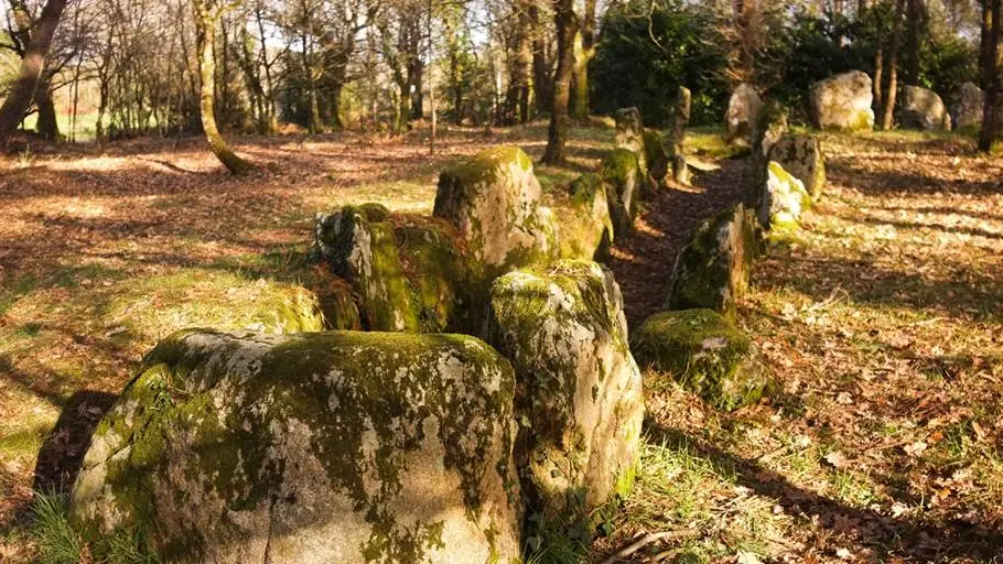 Dolmen du Luffang Crach - Morbihan Bretagne sud (3)