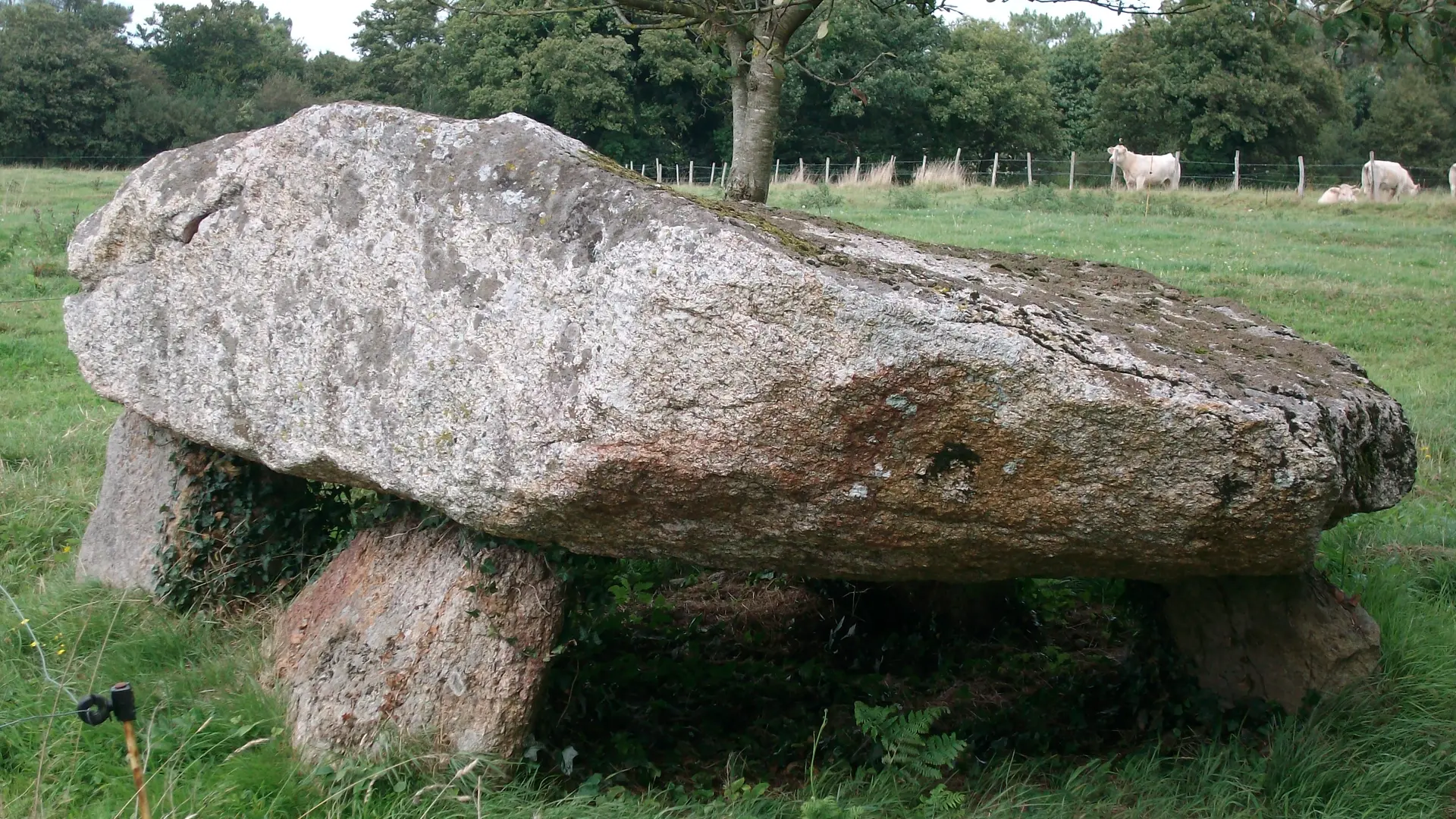 dolmen-kermorvant-moustoir-ac (2)