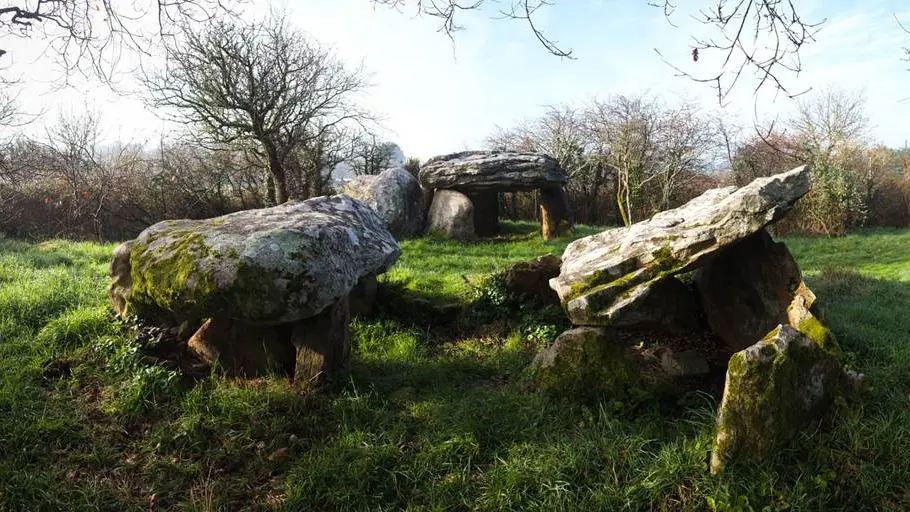 Dolmens de Kerran St Philibert - Morbihan Bretagne Sud (3)