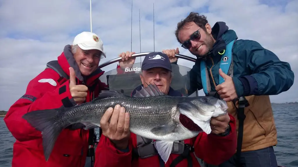 Guide de peche Golfe du Morbihan - Stage de pêche en mer - Sortie pêche à Sarzeau - Port du Logeo