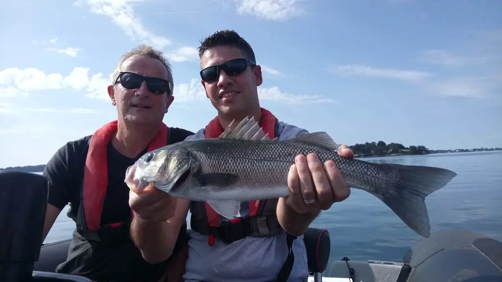 Guide de pêche dans le Golfe du Morbihan- Sortie pêche en mer en bateau- Guide de pêche Vannes, Sarzeau, séné, Larmor-Baden, Arzon