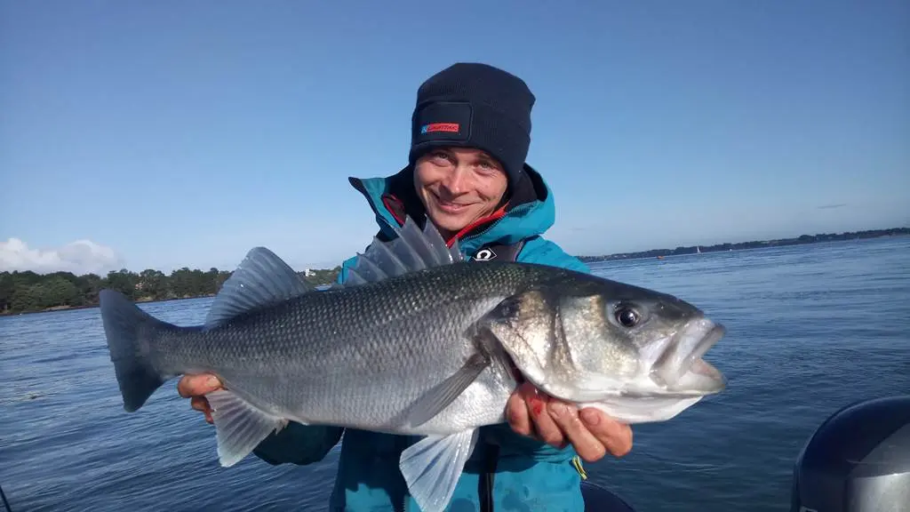 Stage de pêche au bar- Golf de morbihan- coin de peche en mer- Port du Logeo- Sarzeau- Arzon- Guide de peche Vannes- Moniteur de pêche en mer- Carte cadeau peche en famille- Bon cadeau pêche en mer en bateau