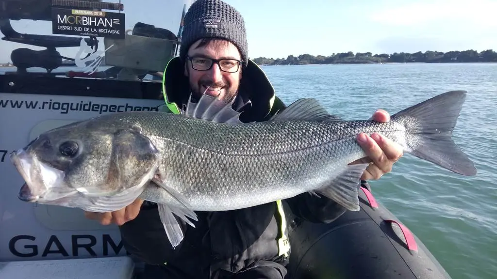 Un des plus gros Bar de la saison 2019 ...une journée de pêche historique !