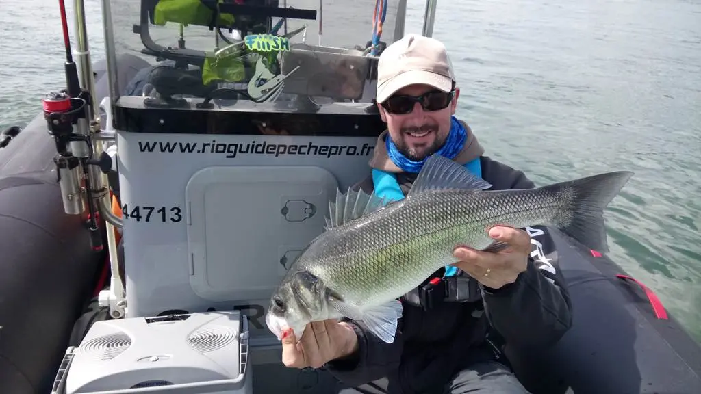 Guide de pêche Golfe du Morbihan, Sarzeau, Presqu'île de Rhuys, pêche au bar, réservervation en ligne de votre journée de pêche