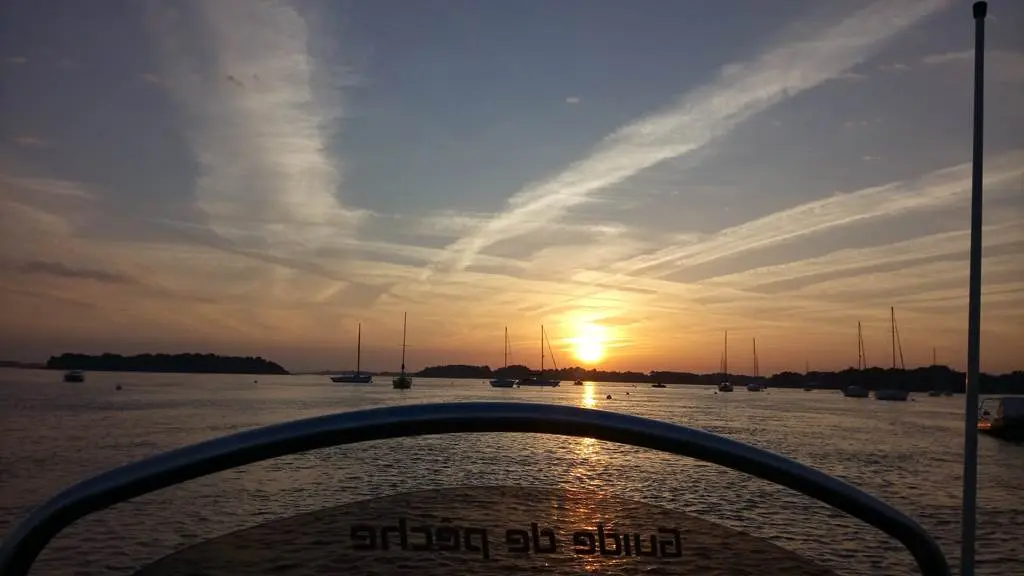 Mickaël RIO- Moniteur- Guide de pêche Golfe du Morbihan- Sortie pêche en mer en bateau au départ du port du Logeo à Sarzeau- Guide de pêche Morbihan- pêche au bar Morbihan- Sortie pêche en mer à Sarzeau, Presqu'îles de Rhuys, à 5mn d'Arzon