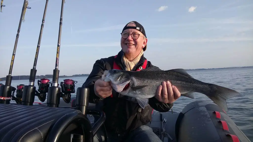 Guide de pêche en mer, Golfe du Morbihan, pêche au bar en bretagne, Sortie pêche en bateau à Sarzeau, Presqu'îles de Rhuys, pêche au bar avec un moniteur, guide de pêche professionnel