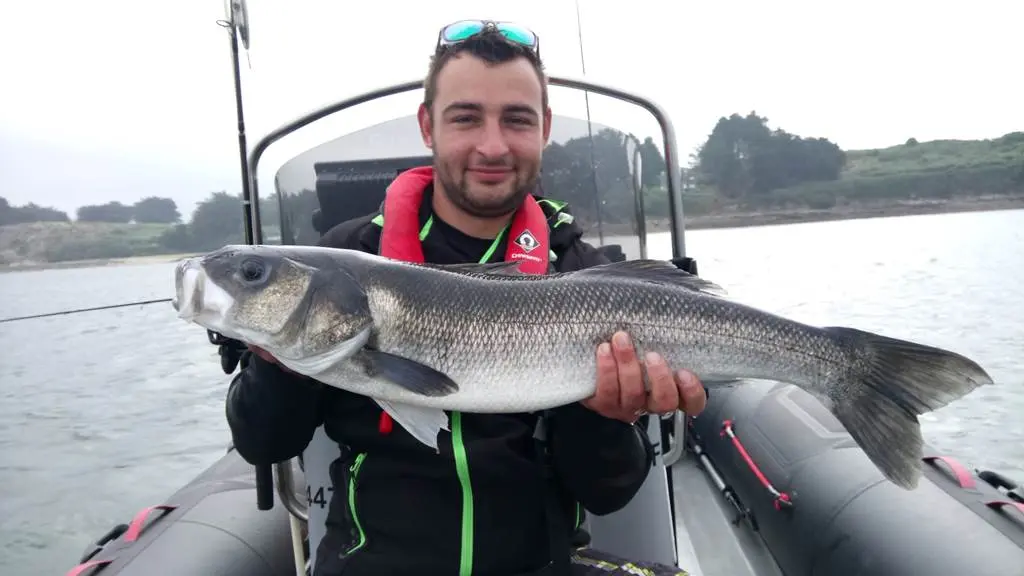 Le plus gros bar de la saison 2018 ! Un moment de pêche inoubliable...