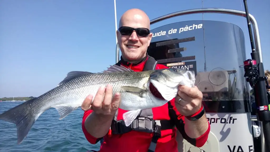 Guide de peche Morbihan - Sortie peche en mer Sarzeau - Stage de peche en mer- Sortie pêche au bar - Guide de pêche Golfe du Morbihan