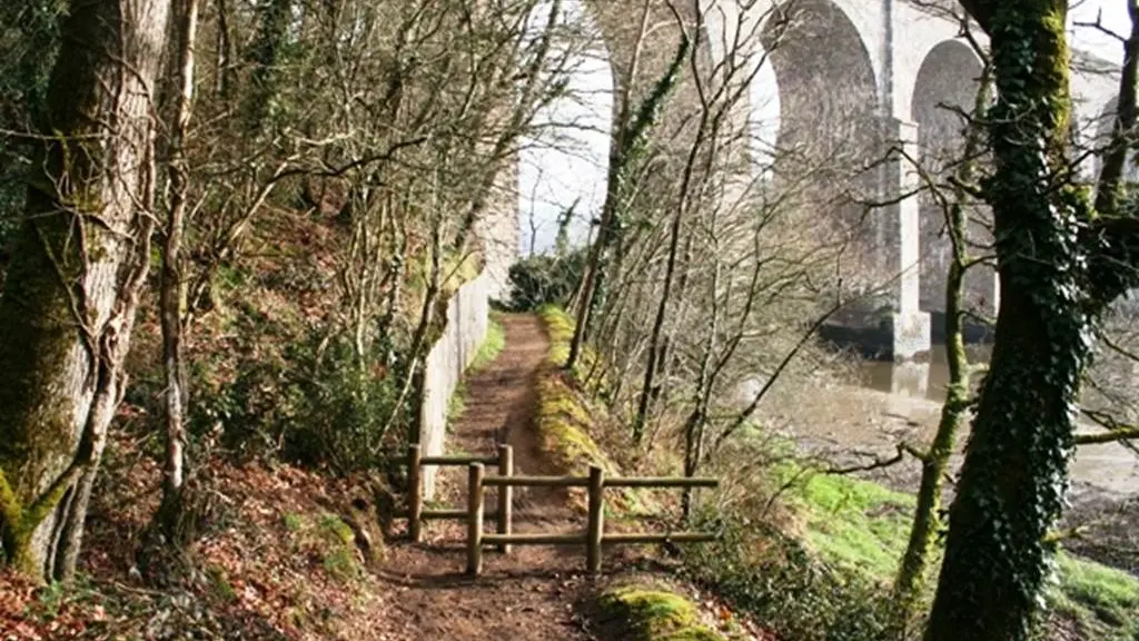 La petite forêt - Auray - Morbihan Bretagne Sud