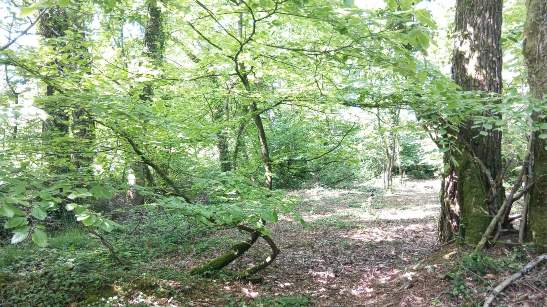 edbdf3c8-90a6-4c27-b477-0274466c4d4d