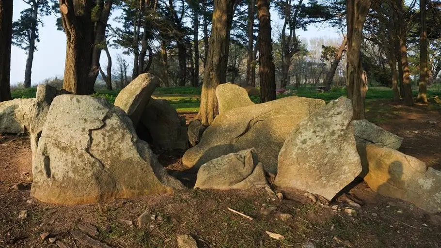 Ensemble mégalithique de Pen Liouse Ile d'Arz - Morbihan Bretagne sud (2)