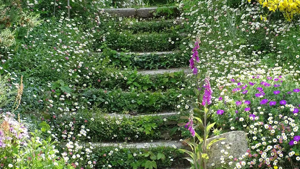 escalier fleuri