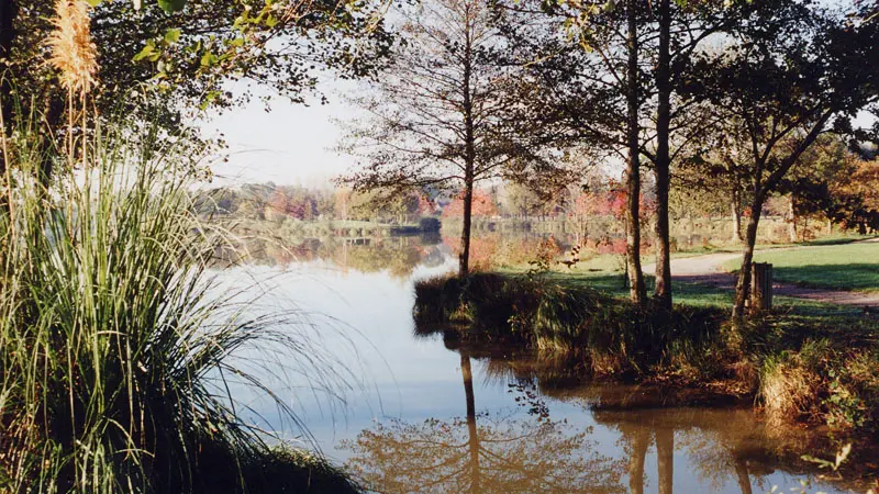 etang-2-OT-La-Gacilly