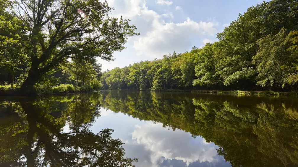 etang-foret-camors_1008x672
