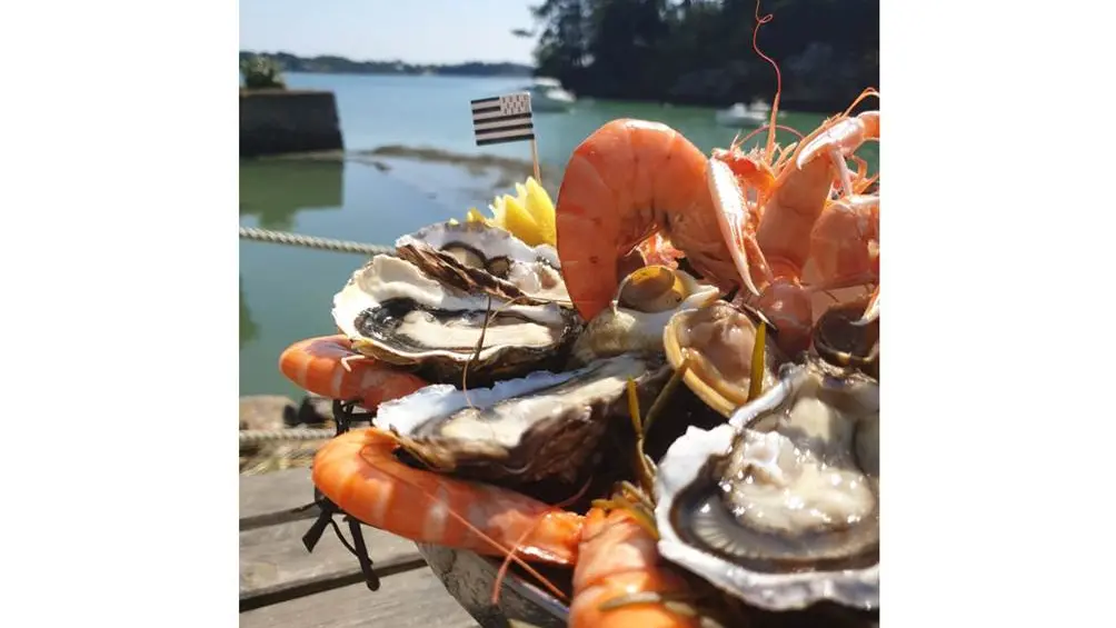 Ets-Gouguec-Producteur-Larmor Baden-Golfe-du-Morbihan-Bretagne sud