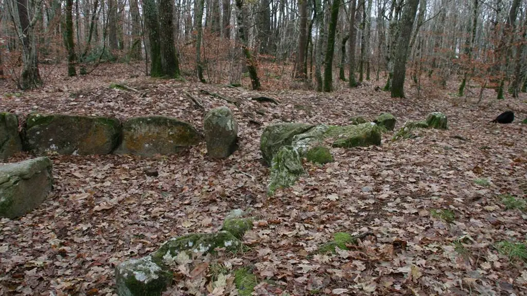 Bois de Kerzuc - Dolmen - CRACH - Morbihan Bretagne Sud