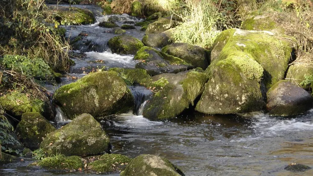 Vallée de l'Aër - Ploërdut - Morbihan Bretagne Sud