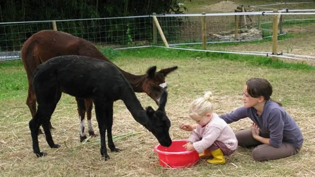 Ferme de Kerporho