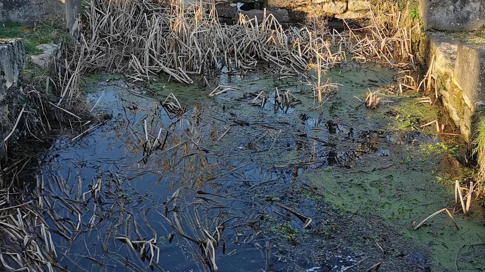 Fontaine et lavoir de Penhoët