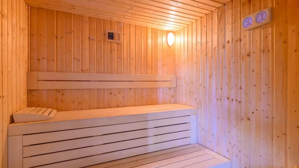 sauna hôtel la marebaudiere vannes