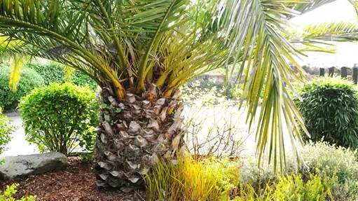 Golfe Hôtel-Brasserie Bleue (22)