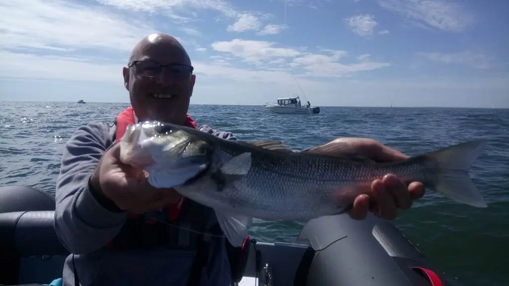 Mickaël-Rio-Guide-de-Pêche-Sarzeau-Presqu'île-de-Rhuys-Golfe-du-Morbihan-Bretagne sud