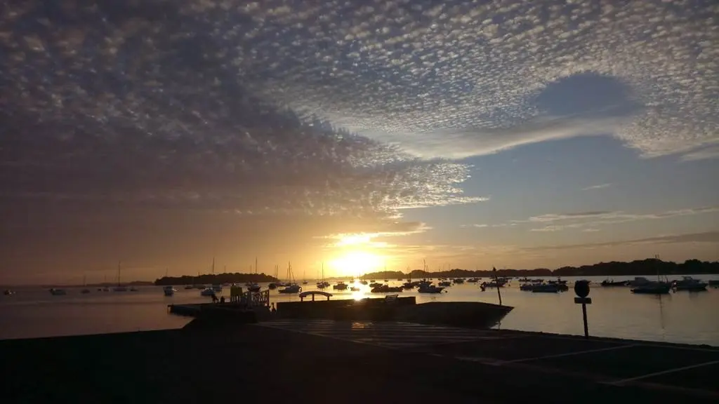 Guide de pêche en mer, Golfe du Morbihan, pêche au bar en bretagne, Sortie pêche en bateau à Sarzeau, Presqu'îles de Rhuys, pêche au bar avec un moniteur, guide de pêche professionnel