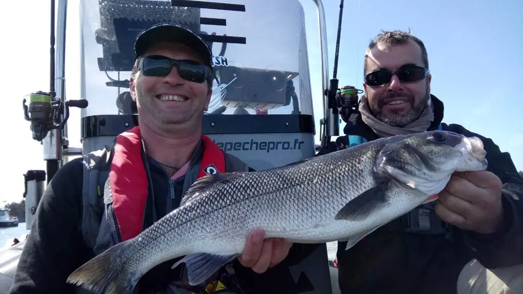 Guide de Pêche Morbihan - Golf du Morbihan - Sortie peche en mer- Guide de peche Sarzeau