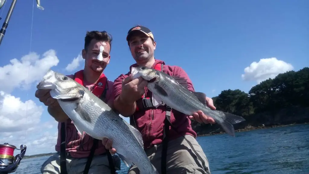 Guide de pêche en mer- Golfe du Morbihan- pêche au bar en bretagne- Sortie pêche en bateau à Sarzeau- Presqu'îles de Rhuys- pêche au bar avec un moniteur-guide de pêche professionnel