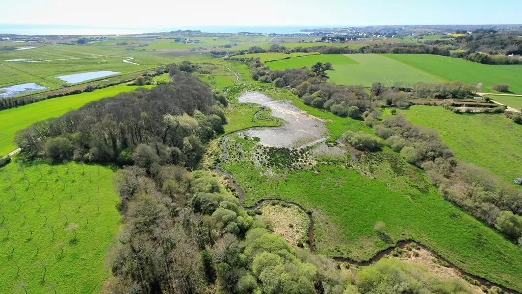 Etang du Loc'h