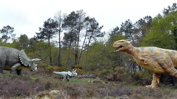 parc de prehistoire de bretagne - malansac - morbihan bretagne sud-01