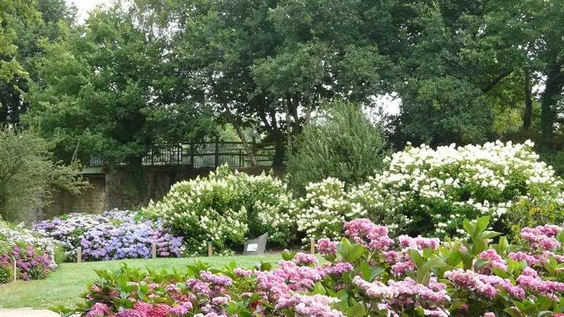 Circuit des hortensias - lac au Duc - parc - Ploërmel - Morbihan - Bretagne