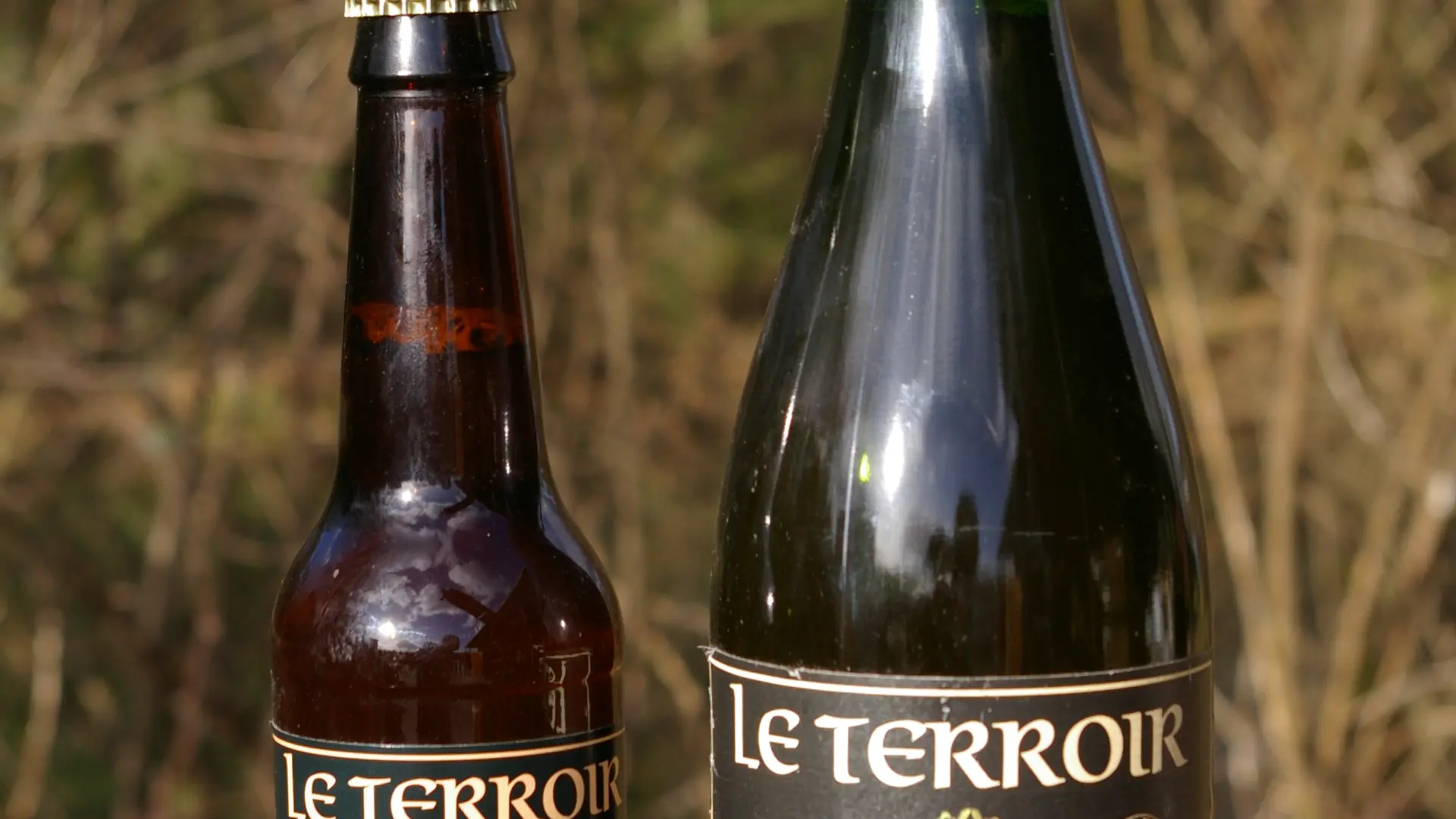 Cidredie des terroirs