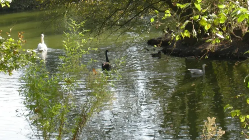 Jardin-St Malo de Beignon-Morbihan-Bretagne Sud