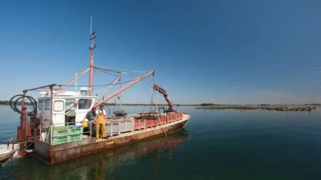 Ostréiculteur Jégat-Arradon-Golfe-du-Morbihan-Bretagne sud