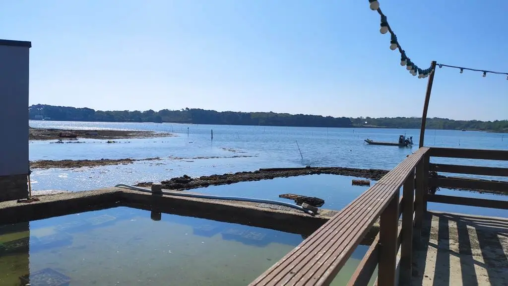 La Cabane de Cadoudal - Huîtres Damerose - LOCOAL MENDON - MORBIHAN  - Bretagne Sud